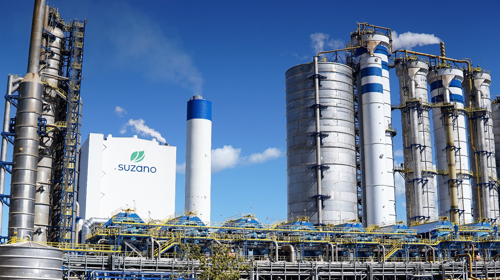 Unidade da Suzano em Ribas do Rio Pardo (MS) alcança marca de 2 milhões de toneladas de celulose produzidas