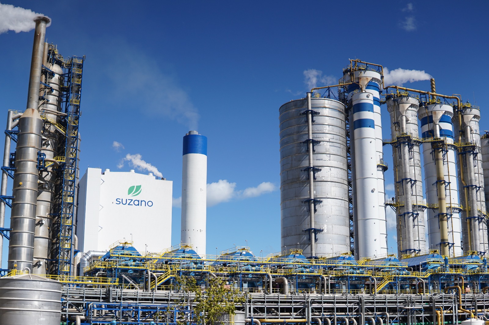 Suzano abre quatro processos seletivos para suas operações em Ribas do Rio Pardo e Três Lagoas (MS)