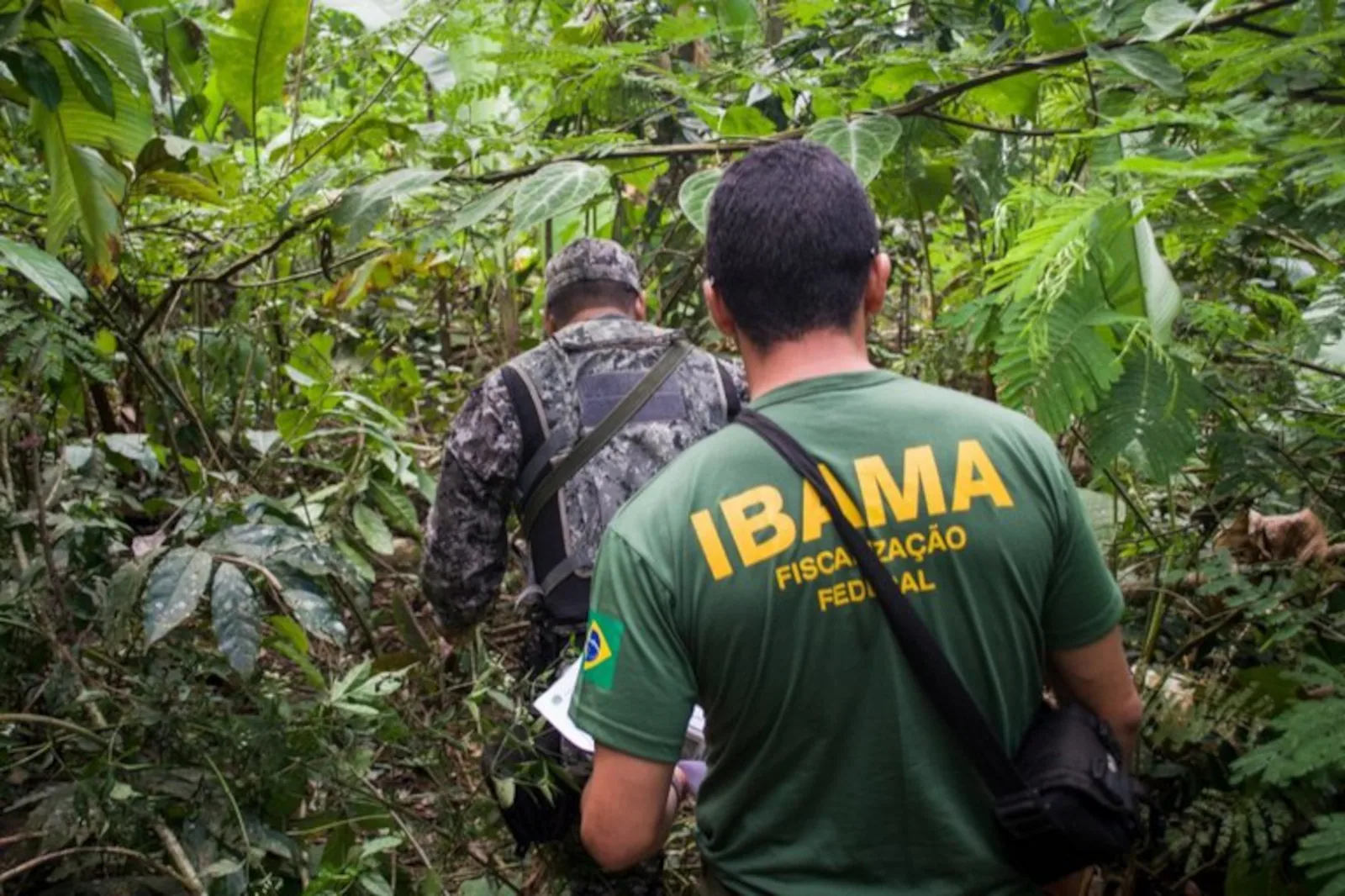 Governo autoriza contratação temporária de 60 servidores para Ibama e Incra