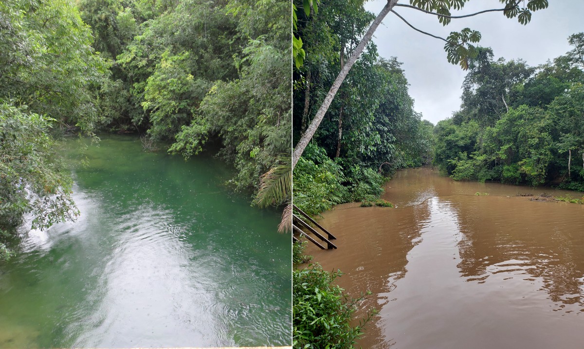 Soja avança sobre rios de Bonito e ameaça águas cristalinas: ganância supera o bom senso