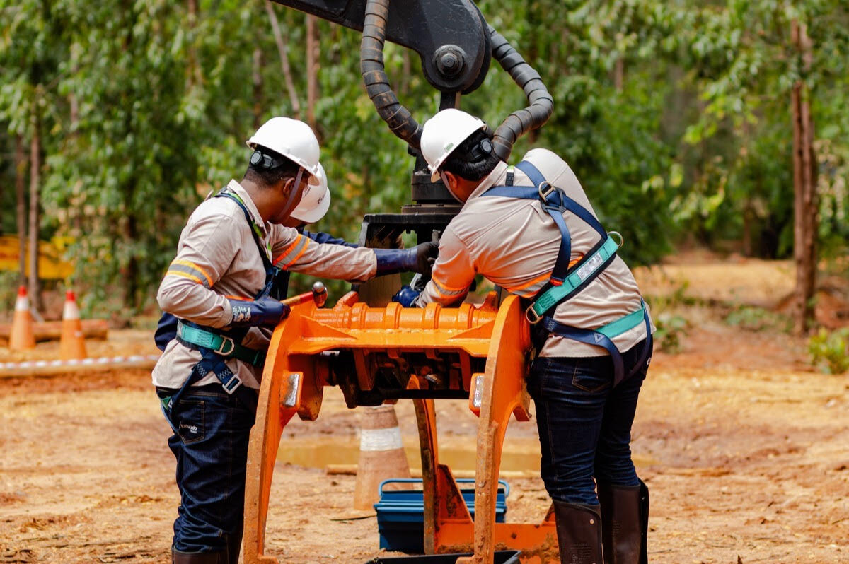 Eldorado Brasil abre 90 vagas de trainee para operador e mecânico de máquinas florestais em MS