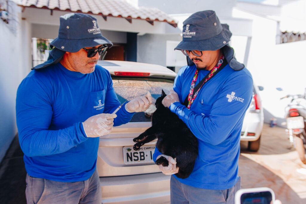 CCZ leva vacinação antirrábica casa a casa ao Coophavila II e Tarumã